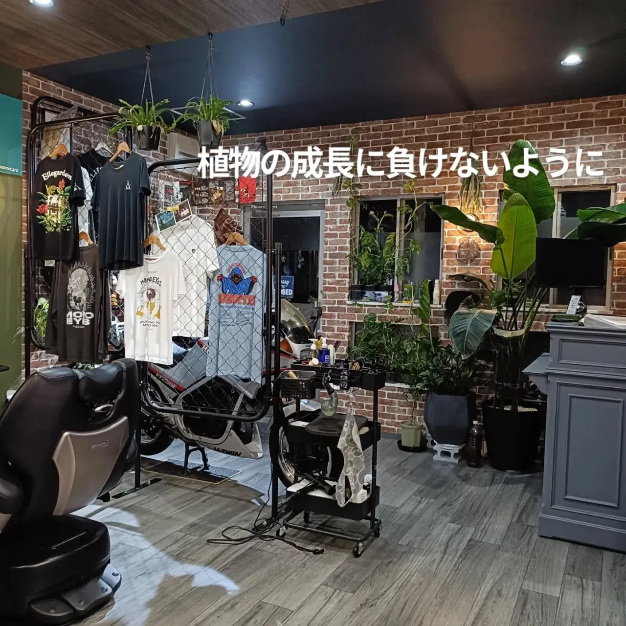 久々にこっちの投稿してみます。